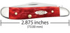 Case Peanut 31948 Jigged Dark Red Bone - Carbon Steel Blades (6220 SS)