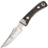 Hen & Rooster Caper (HR5025) 3" 440 Stainless Steel Satin Caping Blade, Stag Handle, Brown Leather Sheath