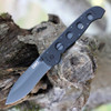 CRKT Carson M21 (CR2104G) 3.8: Stainless Steel Black Caoted Spear Point Blade, Black G-10 Handle