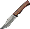 Damascus Blade Firepeak Hunter- 4.25" Damascus Clip Point Plain Blade, Red and Brown Acrylic Handle, Brown Leather Belt Sheath