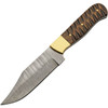 Damascus Knives Walnut Ridge Skinner (DM1374) 5" Damascus Clip Point Plain Blade, Walnut Wood Handle with Brass Bolsters, Brown Leather Belt Sheath