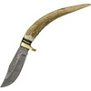 Damascus Knives Stag Spike (DM1027) 3.13" Damascus Clip Point Plain Blade, Stag Handle with Brass Guard, Light Tan Leather Belt Sheath