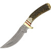 Damascus Knives Mountain Hunter (DM1045) 5.13" Damascus Upswept Skinner Plain Blade, Round Stag Bone Handle with Brass Guard and Pommel, Black Leather Belt Sheath