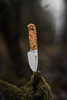 Helle Mandra F6 (HE1620) 2.72" 12C27 Satin Drop Point Plain Blade, Curly Birch Wood Handle with Vulcanized Fiber