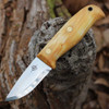 Helle Wakakimi (HE1630) 3.14" Sleipner Satin Drop Point Plain Blade, Curly Birch Wood Handle