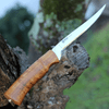 Helle Steinbit (HE115) 6.2" 12C27 Fillet Blade, Curly Birch Handle, Leather Sheath