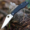 Spyderco GrassHopper (C138GBKP) 2.30" 12C27 Leaf Shaped Plain Blade, Black G-10 Handle