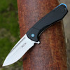 Buck Knives Ruckus (713BLS) 3.5" D2 Stonewashed Drop Point Plain Blade, Black Aluminum Handle w/ Steel Frame