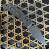 Spyderco Manix 2 XL Salt - 3.85" MagnaCut Black Leaf, G-10 C95GMCBKP2