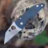 Spyderco MicroJimbo Sprint Run C264CFP black carbon fiber handle open view showing CPM S90V satin Wharncliffe plain blade