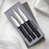 Rada Cutlery Paring Knives Galore Gift Set (G201) T420 High Carbon Stainless Steel Satin Blades, Black Resin Handles, Peeling Paring, Regular Paring, Heavy Duty Paring