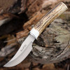 Muela DP-10A 02MU191 3.9" MoVa satin drop point, stag horn handle
