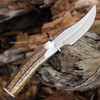 Muela DP-10 02MU191 fixed blade hunting knife stag handle 3.9 inch MoVa stainless satin clip point blade with brass guard and leather sheath