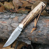 Muela BW-6A 02MU221 2.36 inch X50CrMoV15 Satin Clip Point Full Tang Genuine Staghorn Handle Leather Sheath Spain