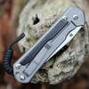 Chris Reeve Sebenza 31 L31-1130 gold-anodized thumb lug and backspacer — Bog Oak inlay, glass blasted 6AL4V titanium, high-contrast hardware detail