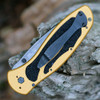 Kershaw Blur-Gold Aluminum (3.4" 14C28N) 1670GLDBW