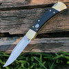 Buck 110BRSA Automatic Hunter, 3.75" 420HC SS Plain Blade, Ebony Dymondwood Handle