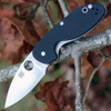 Spyderco Efficient G-10 Black C216GP - 2.98in 8Cr13MoV Satin Plain Blade, Black G-10 Handle