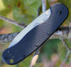 ESEE Avispa Folding Knife (BRK1302)- 3.50" Black D2 Drop Point Blade, Black Polymer Handle