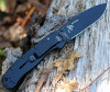 ESEE Avispa Folding Knife (BRK1302B)- 3.50" Black D2 Drop Point Blade, Black Polymer Handle