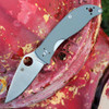 Spyderco Polestar (C220GPGY) 3.30"Drop Point Plain Blade G-10 Grey Handle