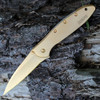 Kershaw Leek Gold 1660G Assisted Opening Knife showing the 24K gold plated handle.