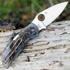 Spyderco Chaparral C152RNP Raffir Noble Open