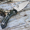 Spyderco Dragonfly 2 Zome Green Lightweight C28ZFPGR2 - 2.30" VG-10 Plain Blade, FRN Handle