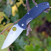 Spyderco Tenacious C122CFP Carbon Fiber Open