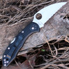 Spyderco C11FSWCBK Delica 4 Wharncliffe SpyderEdge