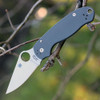 Spyderco Para 3 (C223GPDGY) 2.95" Maxamet Satin Leaf Shaped Plain Blade, Grey G-10 Handle