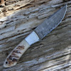 Damascus 1050RM Hunter, 4" Damascus Plain Blade, Ram's Horn Handle