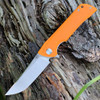 Bestech Paladin BG13C-1, 3.54" D2 Steel Stonewash Plain Blade, Orange G-10 Handle