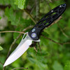 Artisan Dragonfly ATZ1801GBKS, 3.94" S35VN SS Plain Blade, Black TC4 Titanium Handle