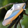 Bestech T1711B Goblin, 2.5" CPM-S35VN Plain Blade, Bronze Titanium Handle w/Blue Inlay