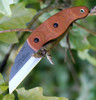 Tops Knives LILB-01 Little Bugger,  2.38" 1095 Carbon Steel, Tan Canvas Micarta Handle