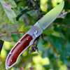Fallkniven P Framelock Folding knife, 3" 3G Satin Blade, Desert Wood Ironwood Handle, Nylon Sheath