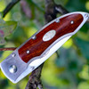 Fallkniven P Framelock Folding knife, 3" 3G Satin Blade, Desert Wood Ironwood Handle, Nylon Sheath