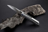 Artisan Littoral ATZ1703GGY, 3.54" S35VN Plain Blade, Gray Titanium TC4 Handle