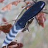 Kershaw Blur Assisted Opening Knife (1670TTSST)- 3.40" Tiger Striped Sandvik 14C28N Partially Serrated Tanto Blade, Black Aluminum Handle