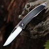 Chris Reeve Mnandi Folding Knife 2.75" Satin-Polish CPM-S45VN Blade, Titanium Handles with Bog Oak Wood Inlays