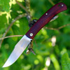 Boker Plus Slack (01BO069) 3.23" VG-10 Satin Clip Point Plain Blade, Cocobolo Wood Handle