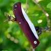 Boker Plus Slack (01BO069) 3.23" VG-10 Satin Clip Point Plain Blade, Cocobolo Wood Handle