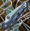 Spyderco C243PBK folded with 4-position pocket clip