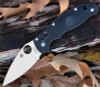 Spyderco Manix 2 Lightweight C101PBK2 open profile