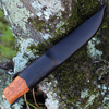 Helle Jegermester, 5.31 in. Sandvik 12C27 stainless steel, Curly Birch Handle