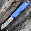 Spyderco Roadie Blue C189PBL Open