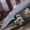 Kershaw Scallion 1620FL stainless steel assisted opening knife profile view showing stonewashed finish.