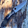 Spyderco Resilience - Blk G10 (4.20" Satin 8Cr13MoV) C142GP