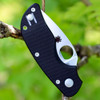 Spyderco Cat Folding Knife 2.44" CTS-BD1N Satin Plain Blade, Black G10 Handles, Liner Lock - C129GP